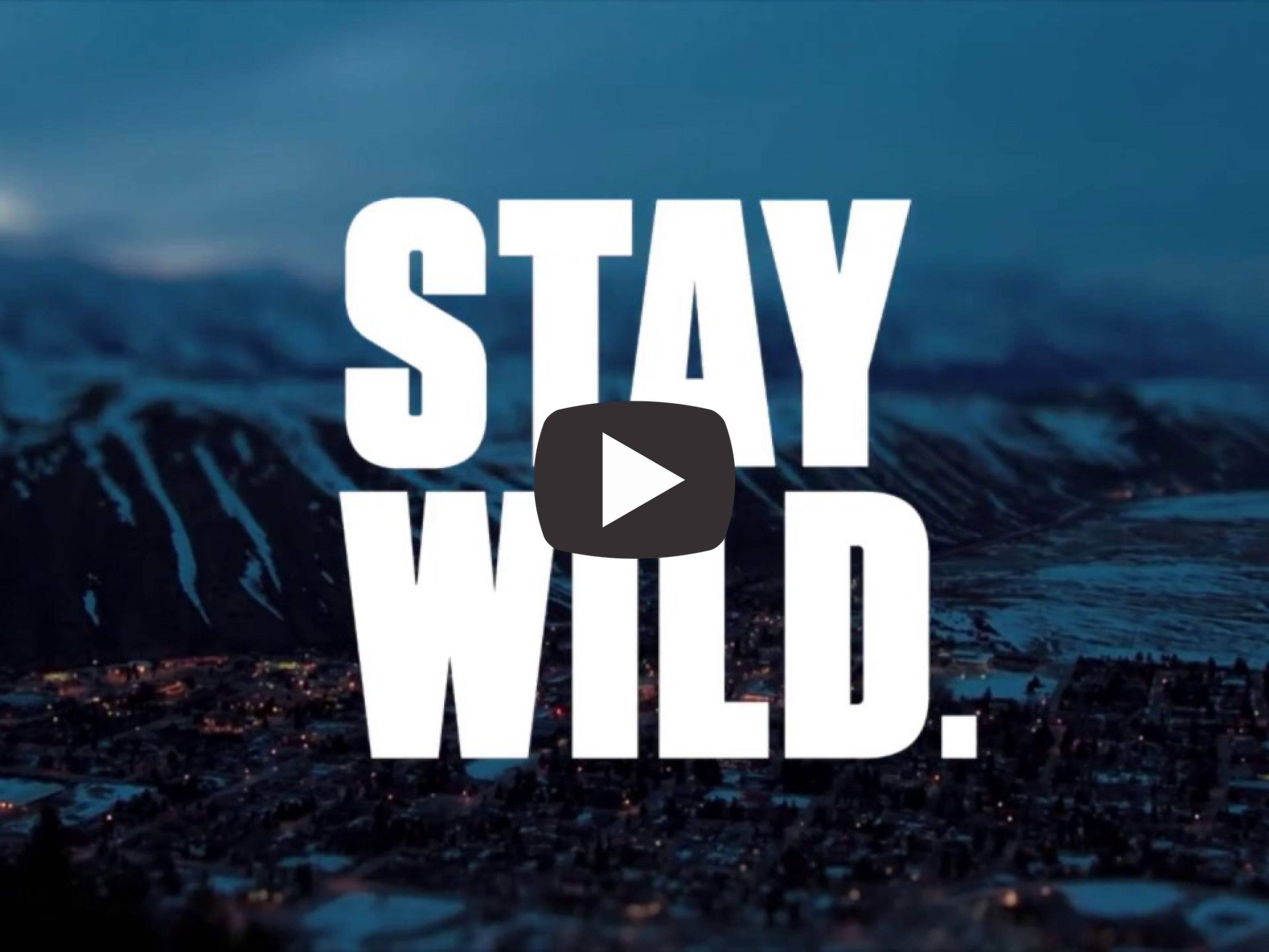 Stay Wild Jackson Hole