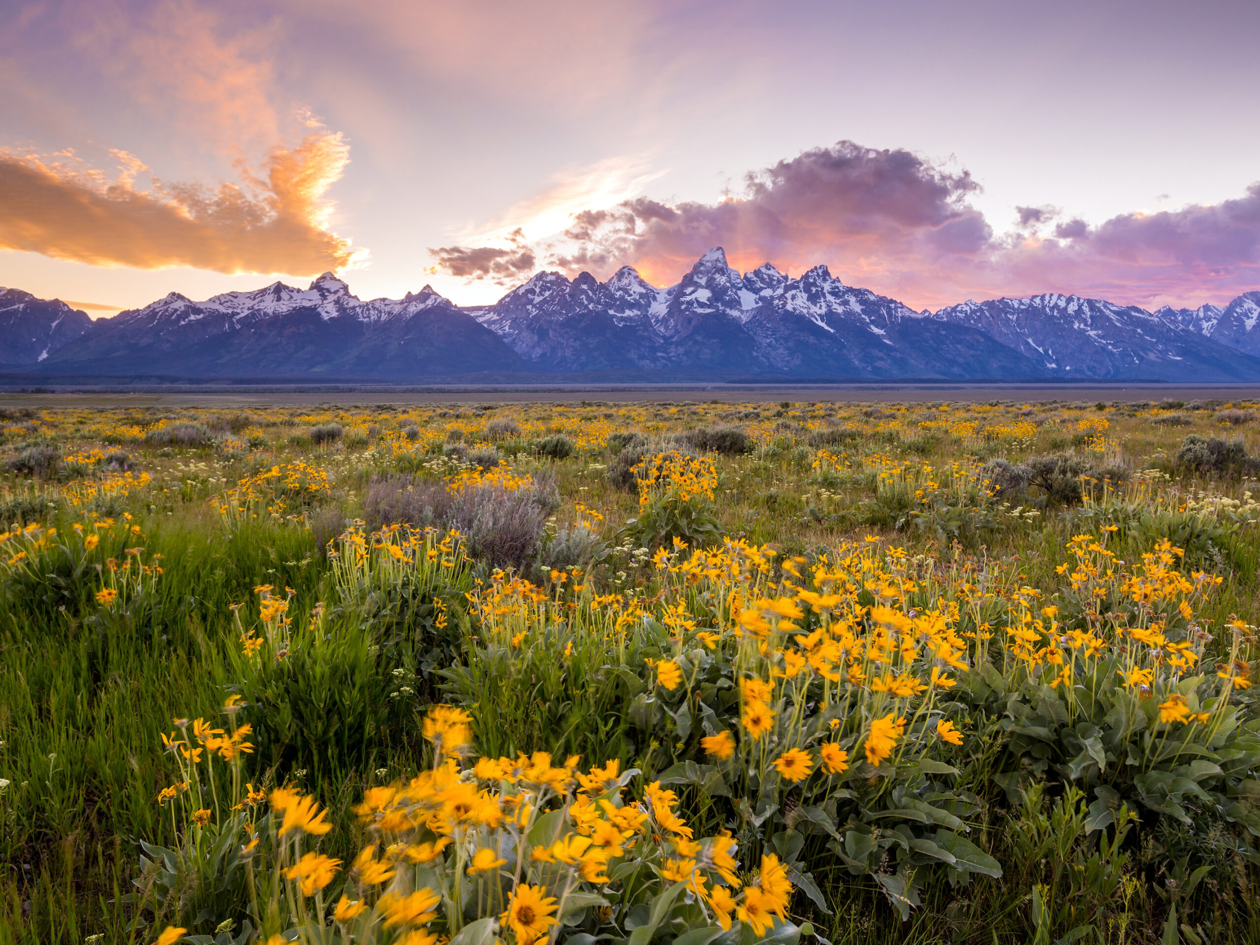 Why May is Great in Jackson Hole