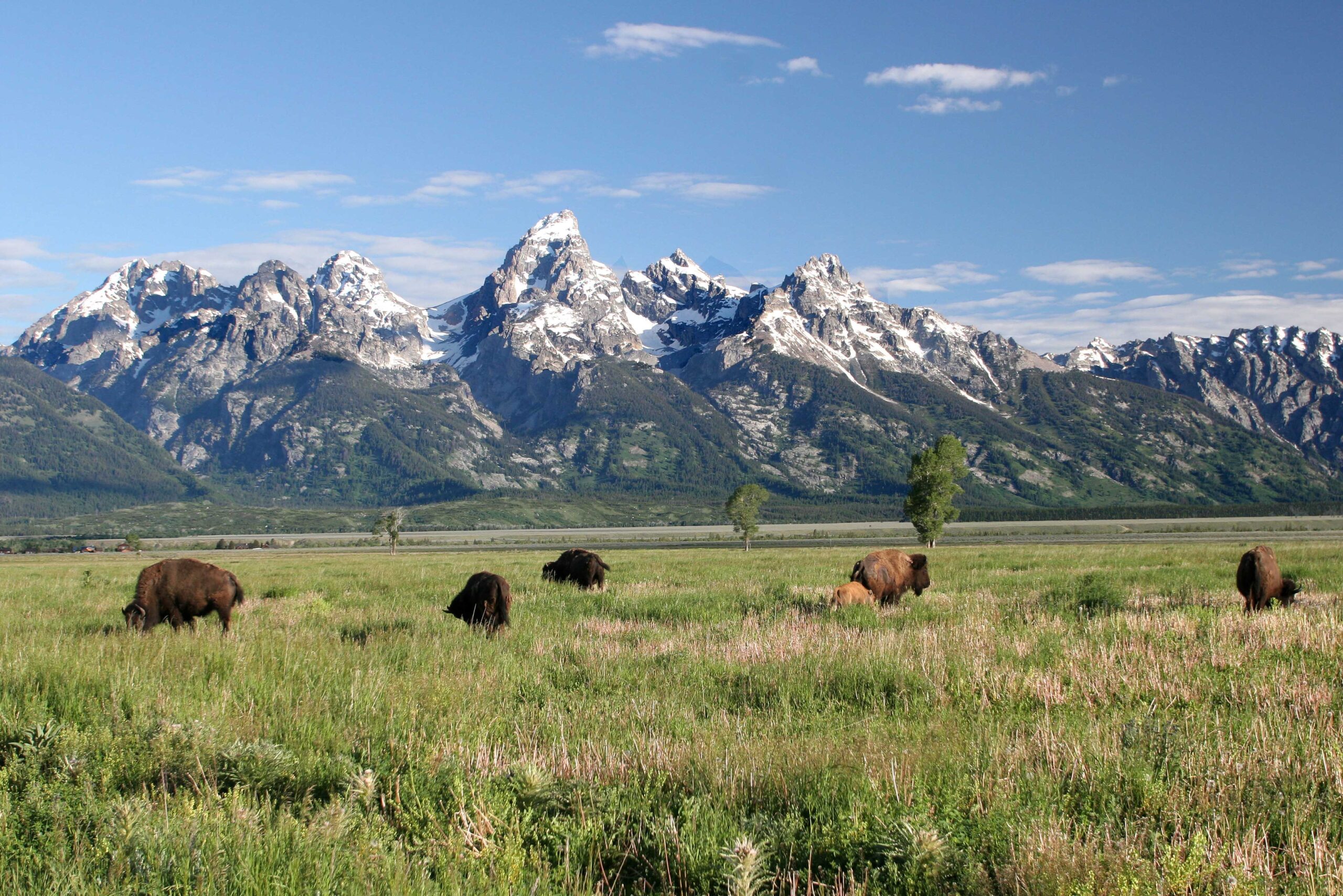 Make Jackson Hole Your National Park Headquarters