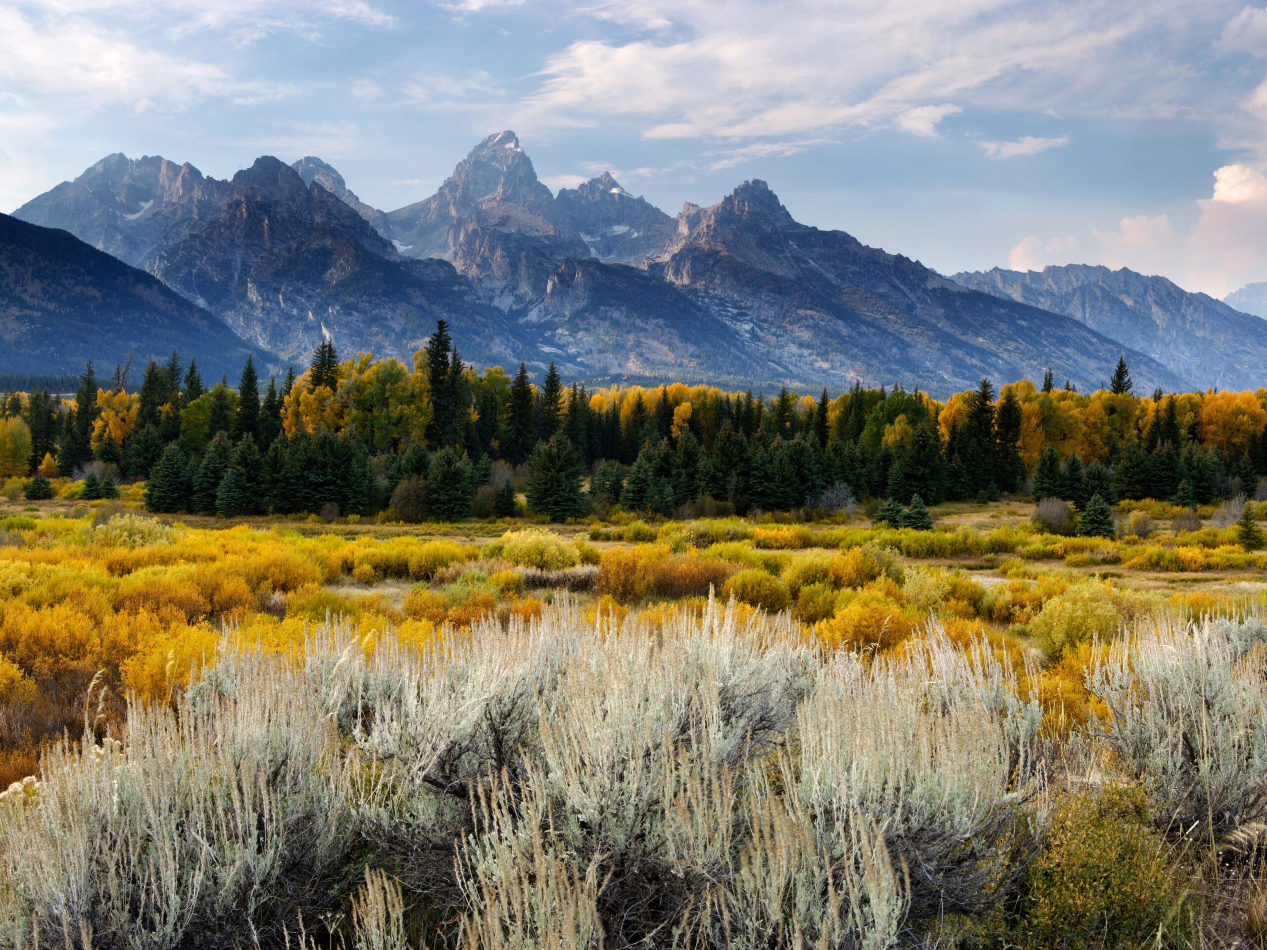 See the Leaves Change in Jackson Hole: Our Favorites for Fall