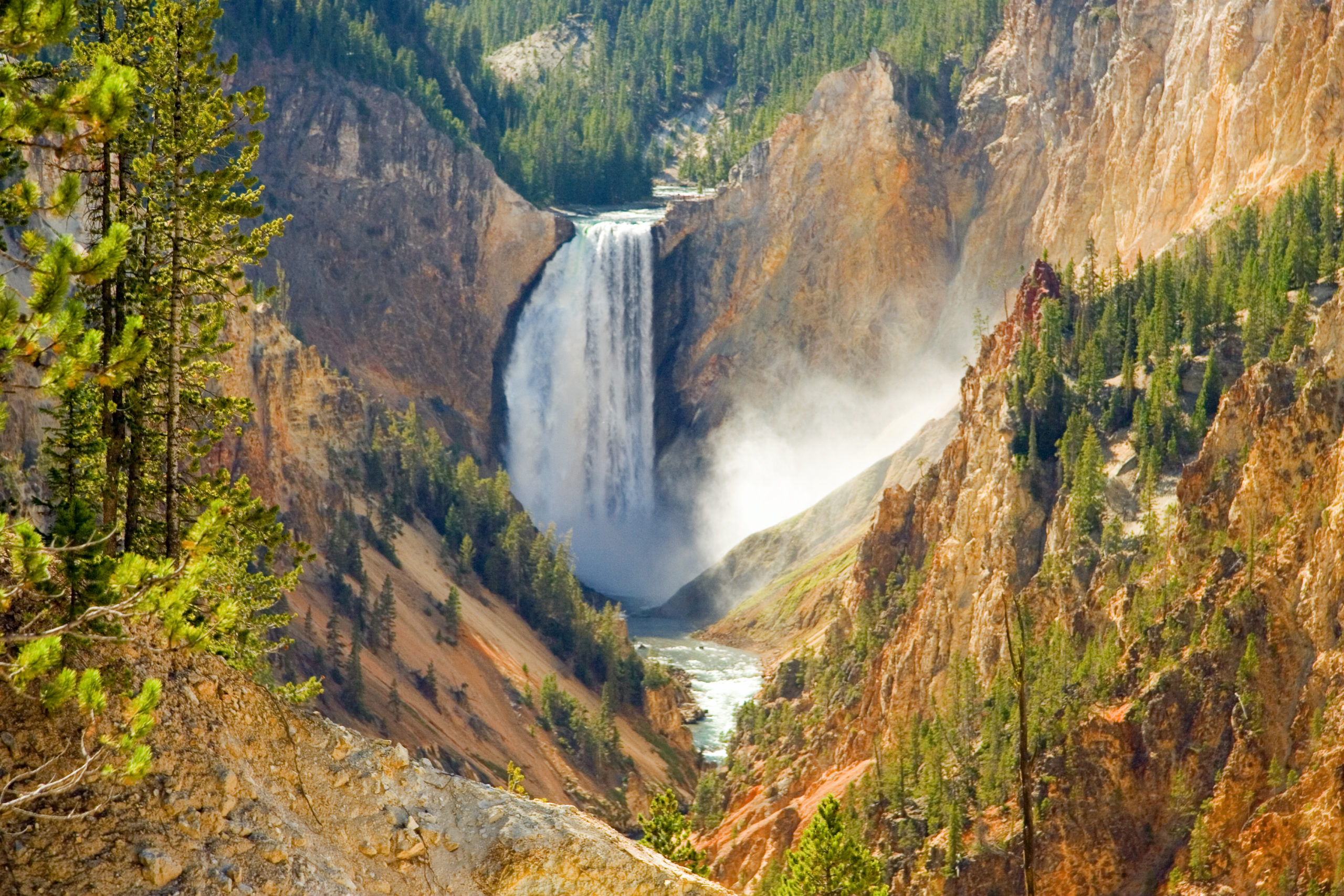 Yellowstone National Park Has Reopened